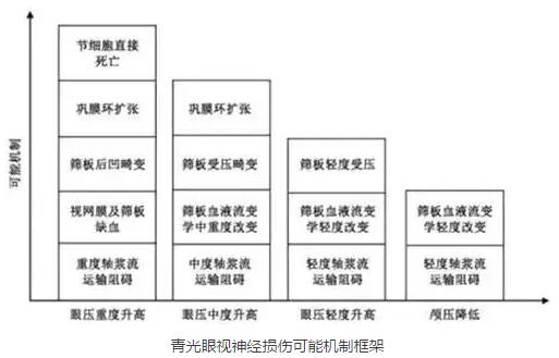 2016年在美国眼科学与视觉科学年会和世界青光眼大会上，与会者均就眼颅压力梯度问题进行了主题研讨，并且特别召开了“眼颅压力梯度相关疾病环球高峰论坛”，对眼颅压力梯度在青光眼领域可能产生的临床指导作用进行了讨论，专家们提出了建议并达成了部分共识。2.jpg