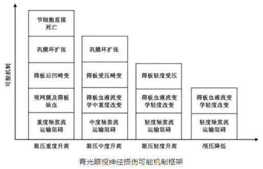 华厦眼科学术课堂：眼颅压力梯度在青光眼视神经损伤机制中作用2.png