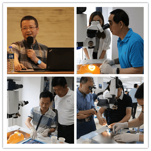 华厦眼科2019年眼内屈光手术技术高峰论坛隆重举行101副本.png