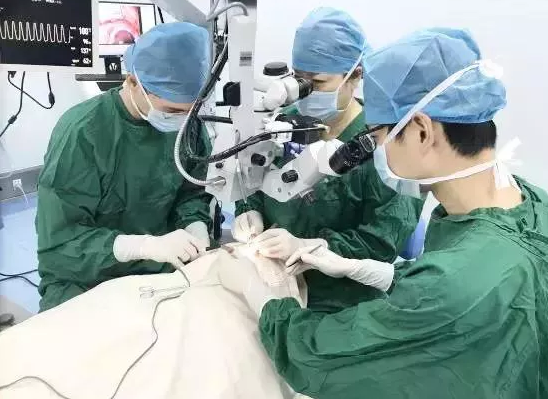 以初心致匠心——厦门眼科中心斜视与小儿眼科潘美华教授以匠心呵护患者的眼健康2.png