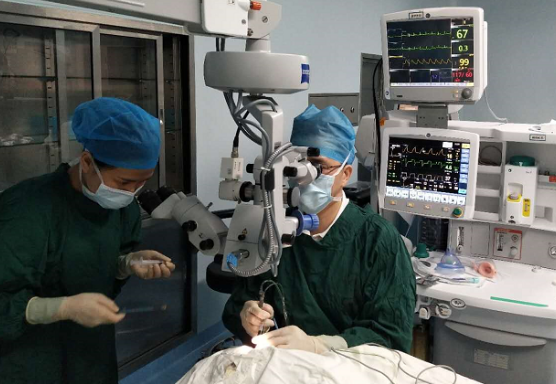 厦门眼科中心白内障专科毛祖红主任迎难而上：为痴呆老人做白内障手术1.png